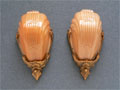 Sconce S80