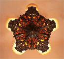 chandelier C82