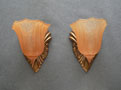 Sconce C211